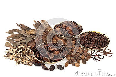 Chinese Herbs and Spice Traditional Herbal Medicine Stock Photo