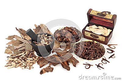 Chinese Holistic Health Care for Herbal Plant Medicine Stock Photo