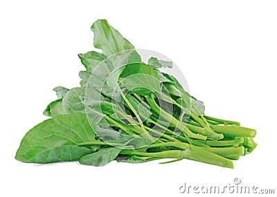 Chinese kale vegetable Stock Photo