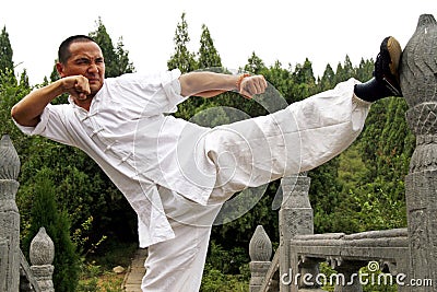 Chinese kung Fu Stock Photo