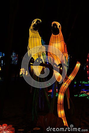 Chinese lantern festival. Colorful parrots and flowers at night Stock Photo