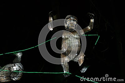 Chinese lantern festival gorilla with lights on a black background Stock Photo