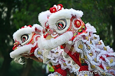 Chinese Lion dragon dancing during Chines New Year Holiday celeb Stock Photo