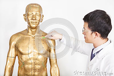 Chinese medicine doctor teaches acupoint on human model Stock Photo