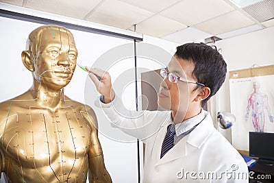 Chinese medicine doctor teaching acupoint on human model Stock Photo