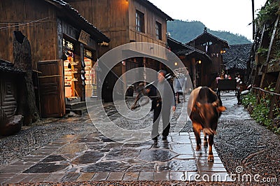 Chinese Miao nationality farmer with buffalo Editorial Stock Photo