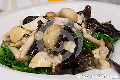 Chinese Mixed Vegetable Stir Fry Stock Photo