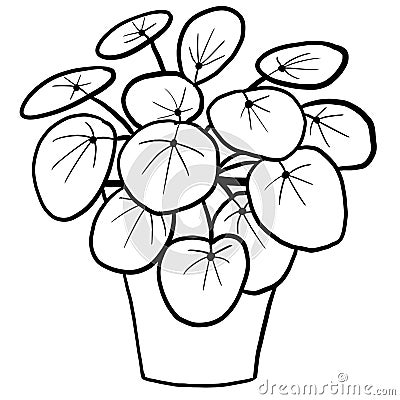 Chinese money plant pilea in a pot in black line outline cartoon style. Coloring book houseplants flowers plant for Stock Photo