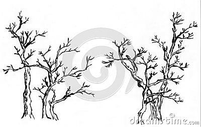 Chinese paint tree ,the three trees Stock Photo