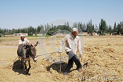 Chinese peasants threshing wheat Editorial Stock Photo