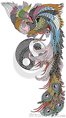 Chinese phoenix and Yin Yang symbol Vector Illustration