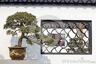 Chinese potted landscape Stock Photo