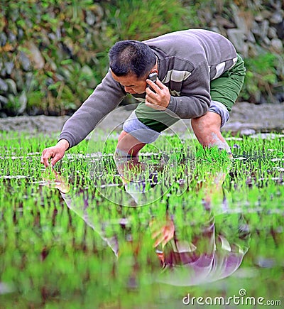 Chinese rice planting and speaks by mobile phone, April, 2010. Editorial Stock Photo