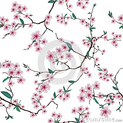 Chinese sakura white seamless vector pattern Vector Illustration