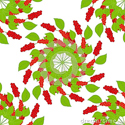 Chinese Schisandra in color, mandala, seamless 2 Vector Illustration