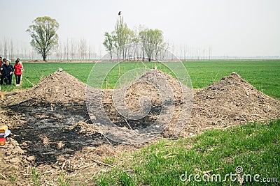 Chinese-style grave Editorial Stock Photo