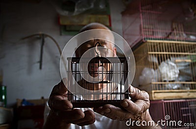 Chinese traditional bird cage worker Editorial Stock Photo