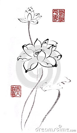 Chinese traditional distinguished gorgeous decorative hand-painted ink-water lily Stock Photo
