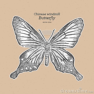 Chinese windmill, is a butterfly of the family Papilionidae. hand draw sketch vector Vector Illustration