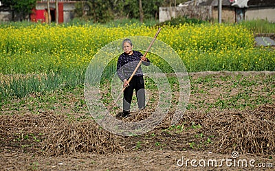 Pengzhou, China: Woman Working in Field Editorial Stock Photo