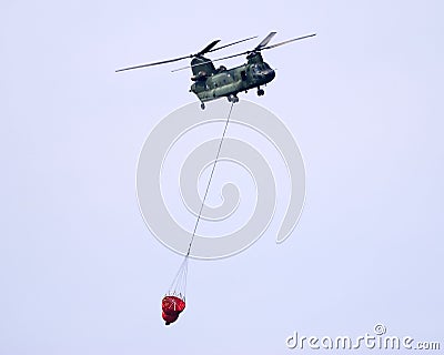 Chinook Stock Photo