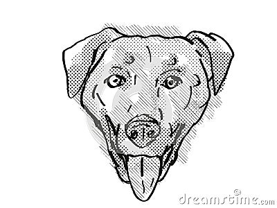 Chinook Dog Breed Cartoon Retro Drawing Stock Photo