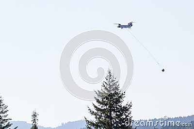 Chinook helicopter fighting fires Editorial Stock Photo