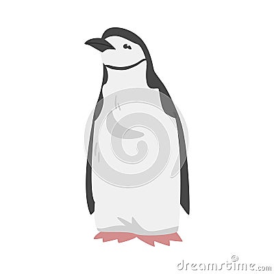 Chinstrap Penguin as Aquatic Flightless Bird with Flippers for Swimming in Standing Pose Vector Illustration Vector Illustration