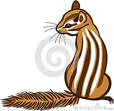 Chipmunk Vector Illustration