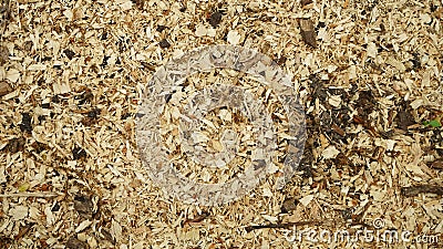 Chipped wood shredded bark top view graphic texture template Stock Photo