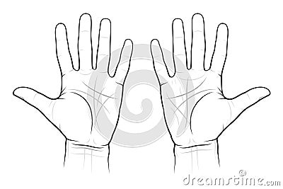 Chiromancy Chart of the Palms Vector Illustration