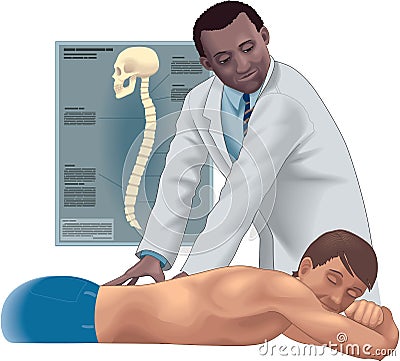 Chiropractor Vector Illustration Vector Illustration