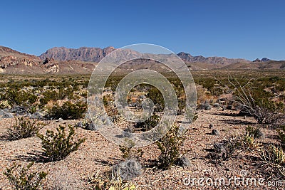 Chisos Mountains Landscape Stock Photo