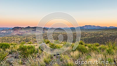 Chisos Mountains, Sotol Vista, Big Bend National Park, TX Stock Photo