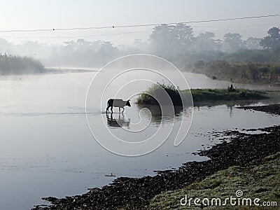 Chitwan National Park Stock Photo