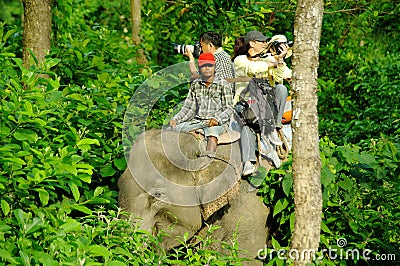 CHITWAN,NP-CIRCA AUGUST 2012 - tourists doing safari on elephant Editorial Stock Photo