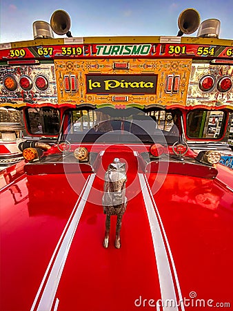 chiva bus in Cartagena, Colombia Editorial Stock Photo