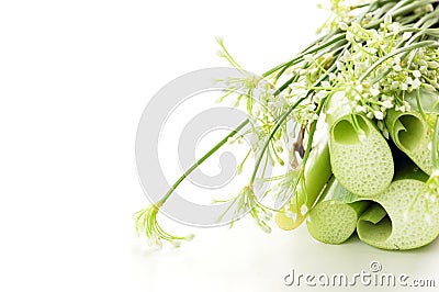 Chive Flowers (Dok Gui Chai) Stock Photo