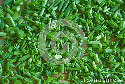 Chives Stock Photo