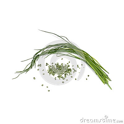 Chives Stock Photo