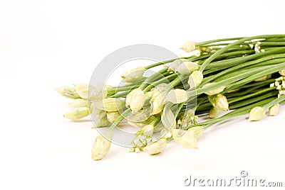 Chives Flower Stock Photo