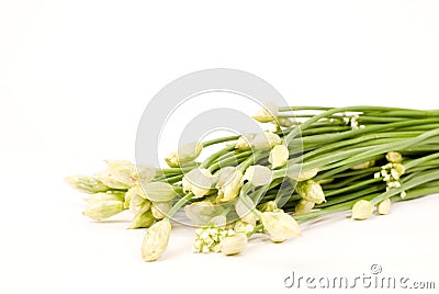 Chives Flower Stock Photo