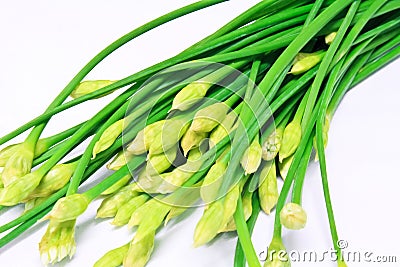 Chives flower Stock Photo