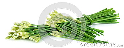 Chives flower or Chinese Chive on white background Stock Photo