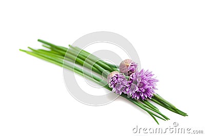 Chives flowers Stock Photo