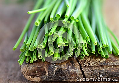 Chives Stock Photo