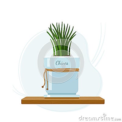 Chives herb on kitchen window sill in mason jar. Chive stems for cooking. Healthy eating, veganism and vegetarianism. Vector Illustration