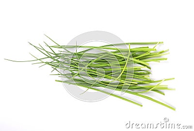 Chives on white background Stock Photo