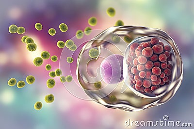 Chlamydia trachomatis bacteria Cartoon Illustration