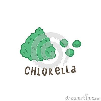 Chlorella powder superfood. Vector Illustration
